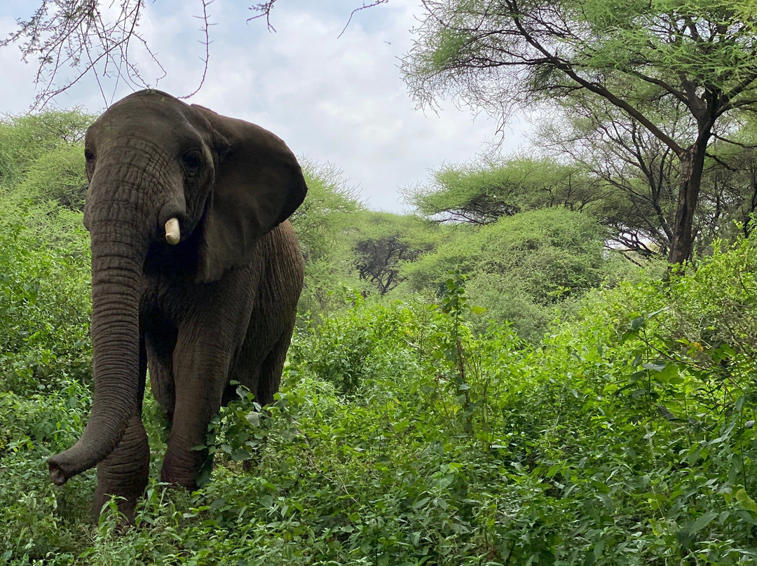 Nicas Education and Technology Center-莫西必去景点