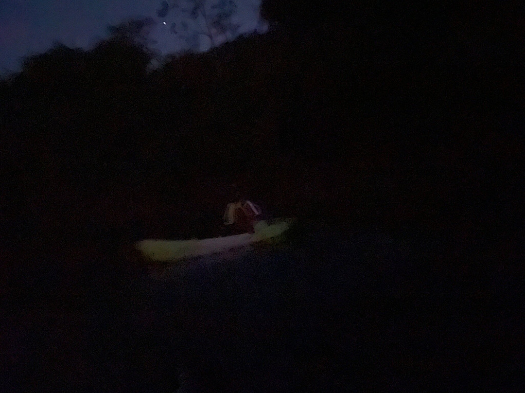 Eddy’s Bioluminescent Reserve景点图片
