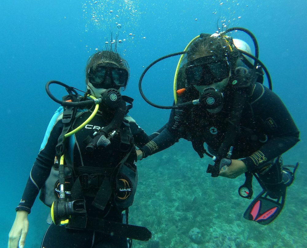 XTC Dive Center-Xcalak必去景点