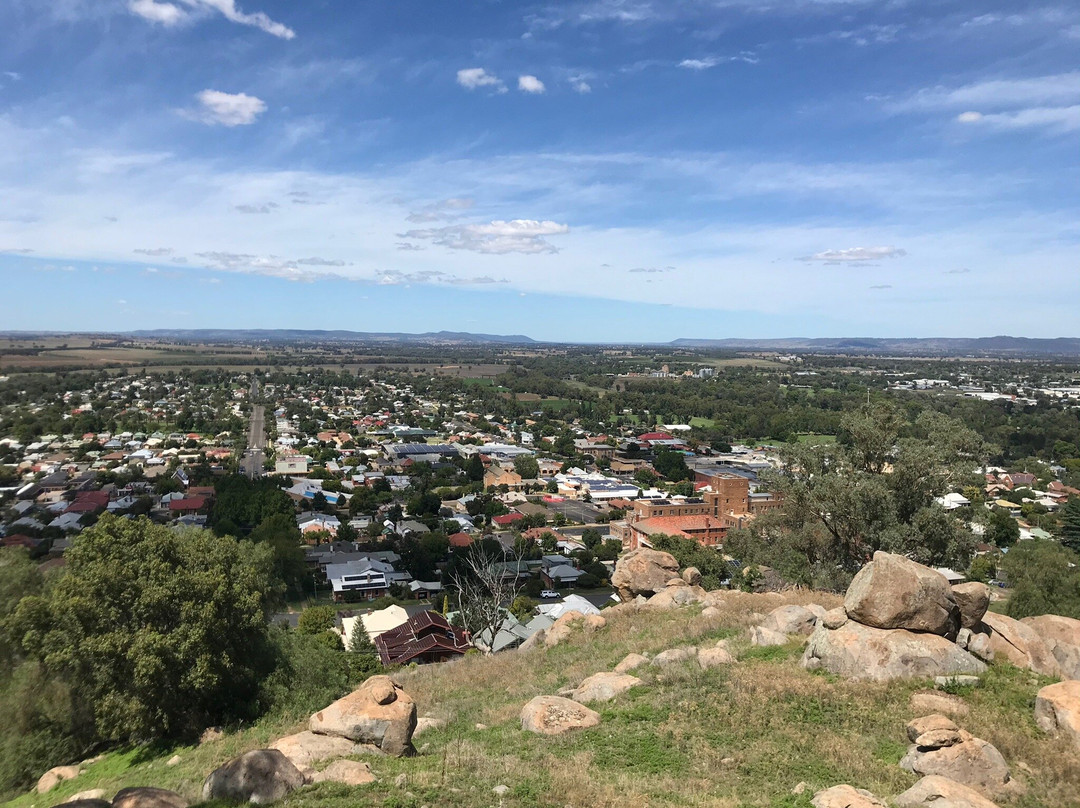 Bellevue Hill Reserve and Lookout景点图片