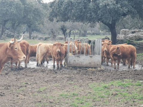 El Canto del Peso-Galapagar必去景点