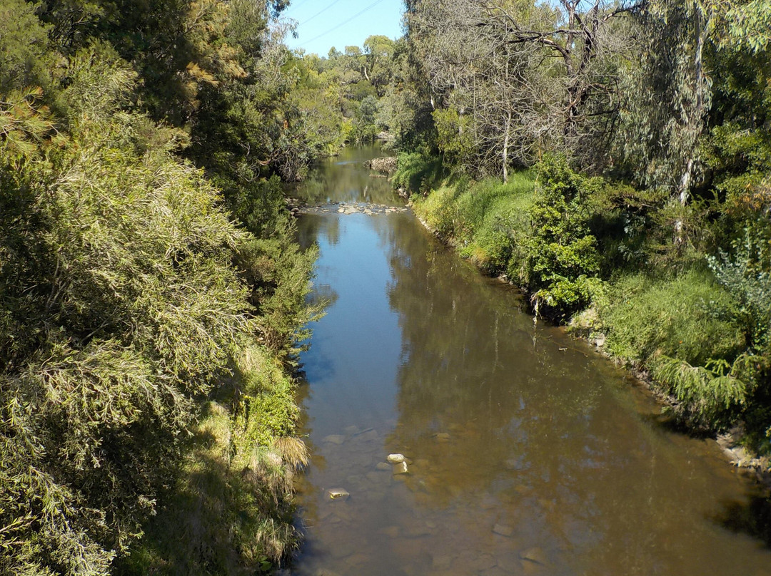 Gardiner's Creek Trail-Malvern必去景点