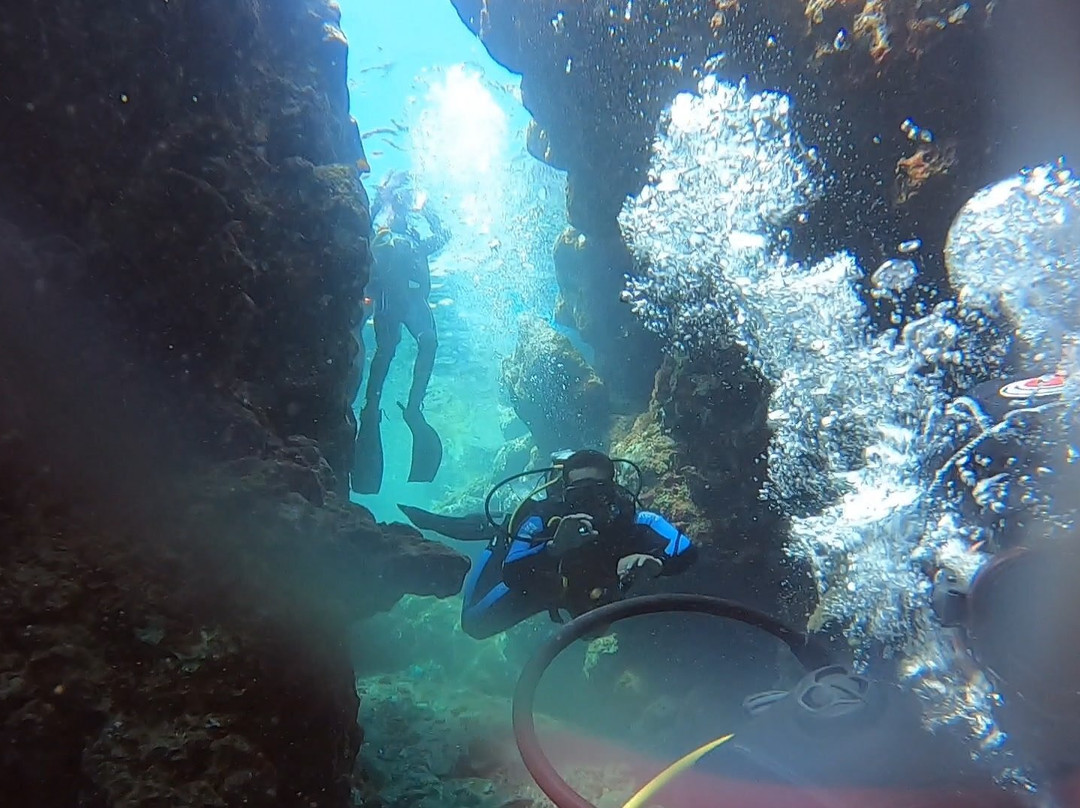 Shams Dive Centre-达哈卜必去景点