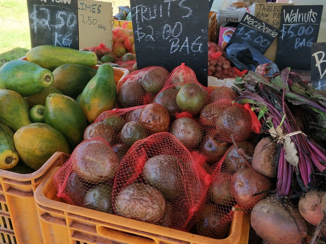 Yungaburra Markets-Yungaburra必去景点