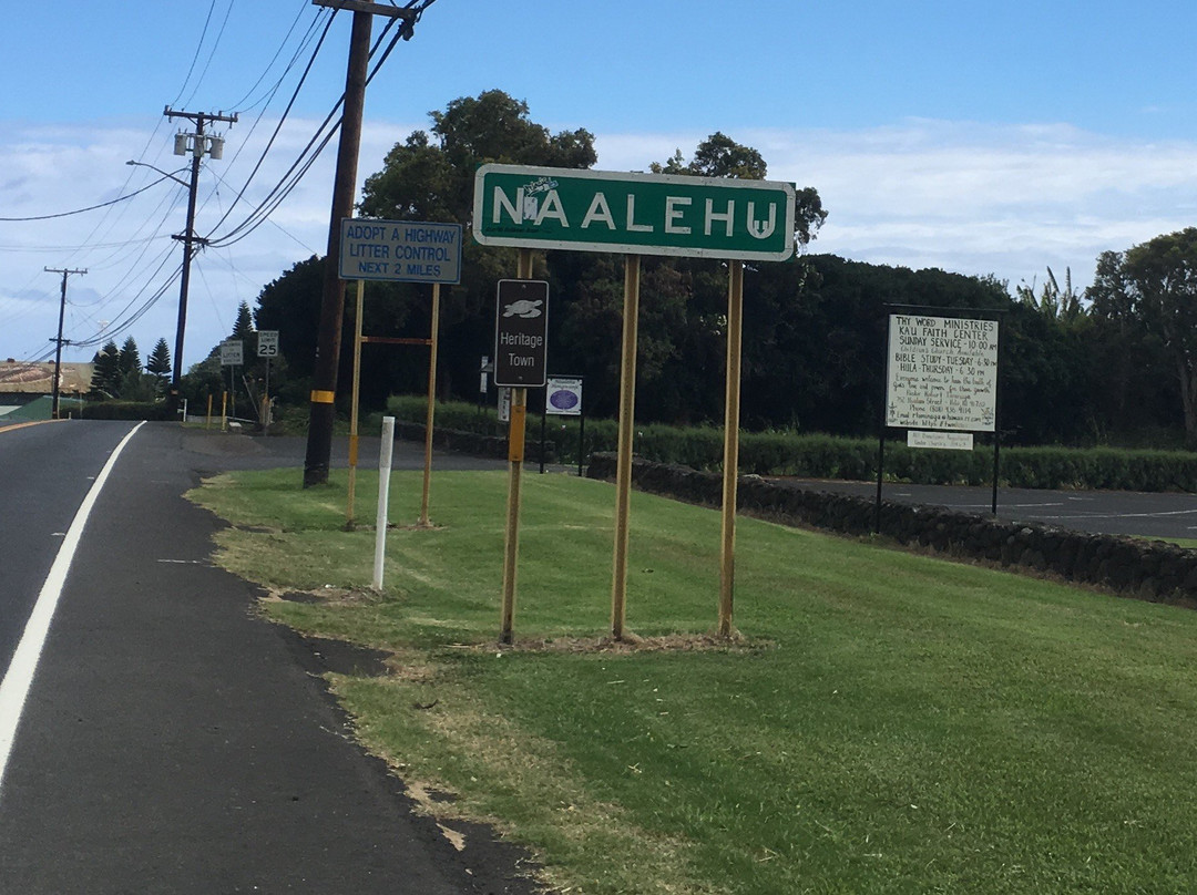Mark Twain Monkey Pod Tree-纳勒胡必去景点