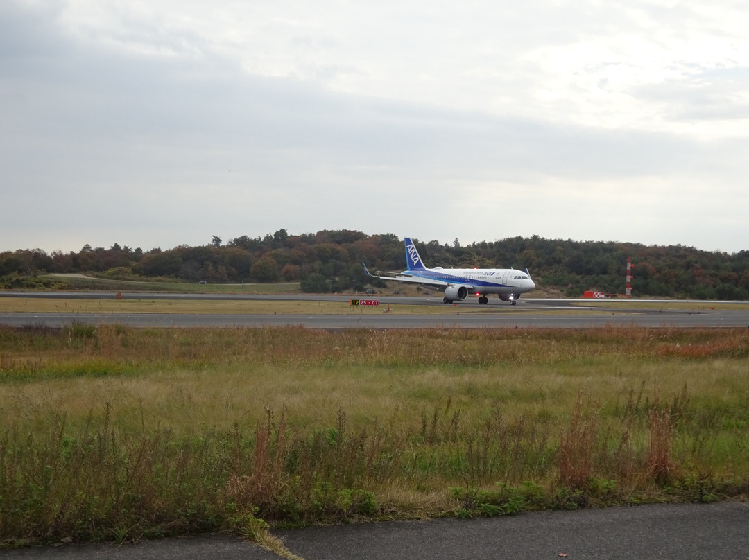 Okayama Airport Observation Deck景点图片