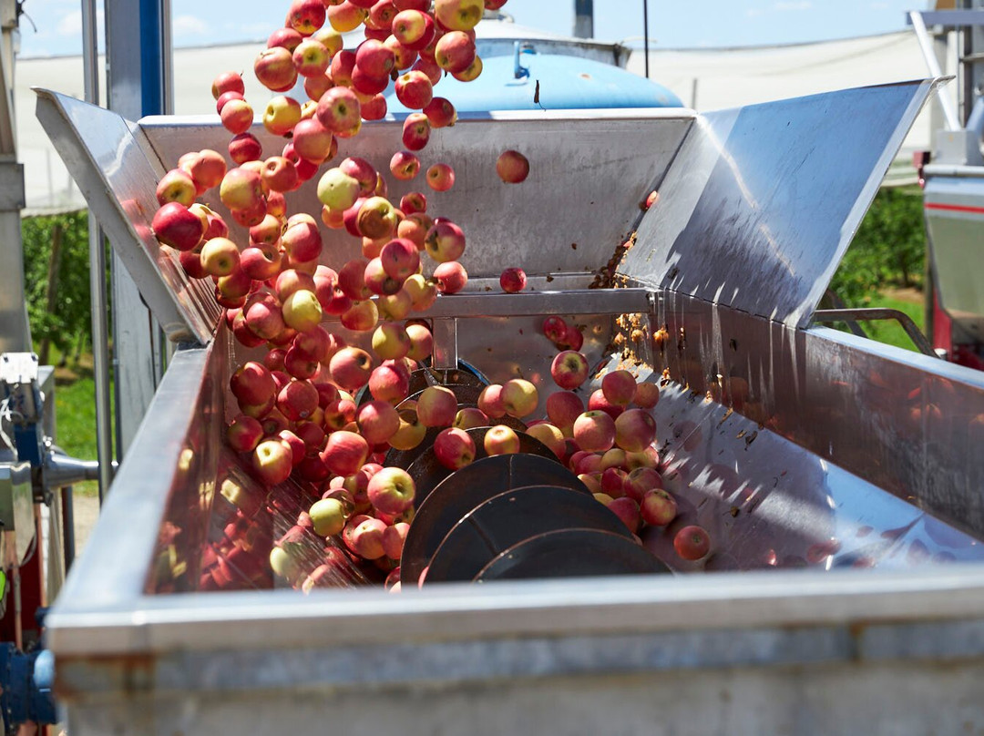 Napoleone Cider Co.-科尔德斯特里姆必去景点