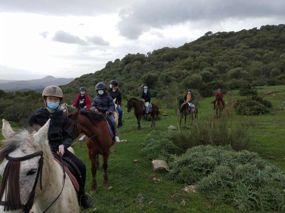 Riding Fun In The Sun景点图片