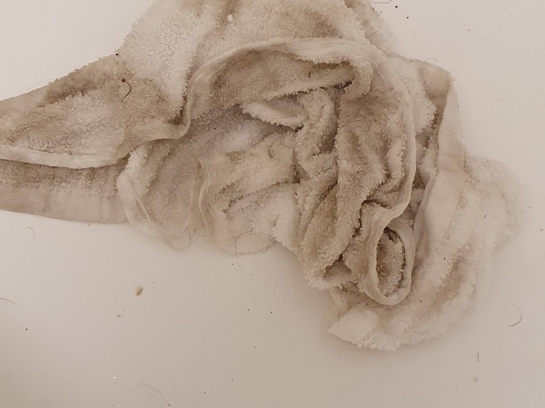 Baymont by Wyndham Albany at Albany Mall主图