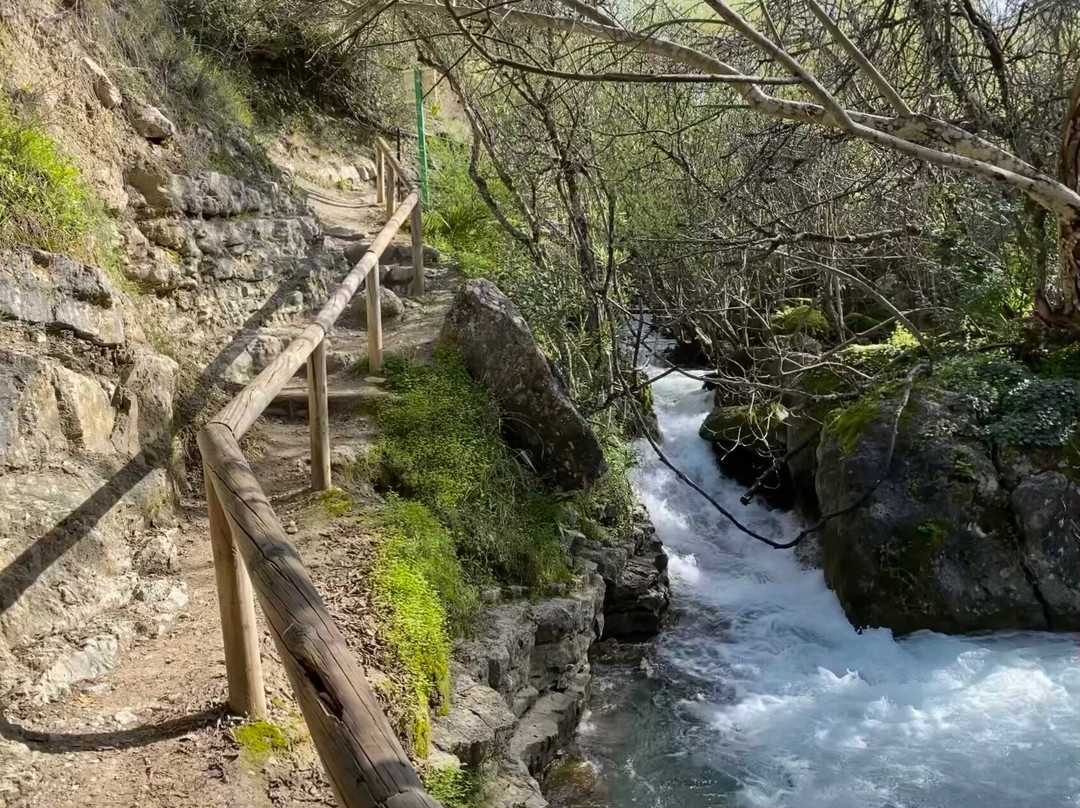 Sendero Rio Majaceite景点图片