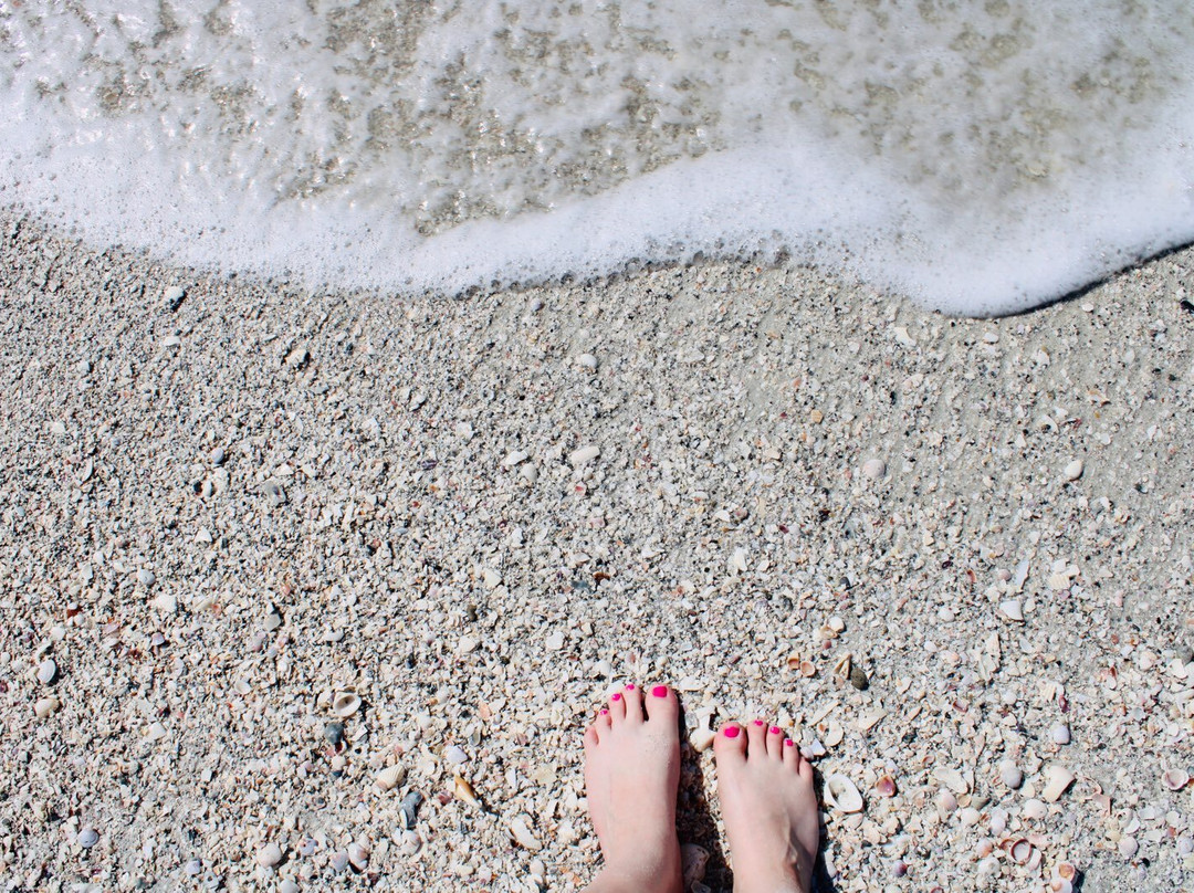Carousel Inn on the Beach主图