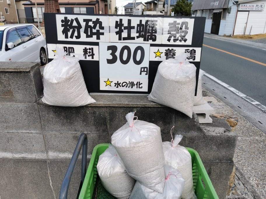 Bentenjima Beach景点图片