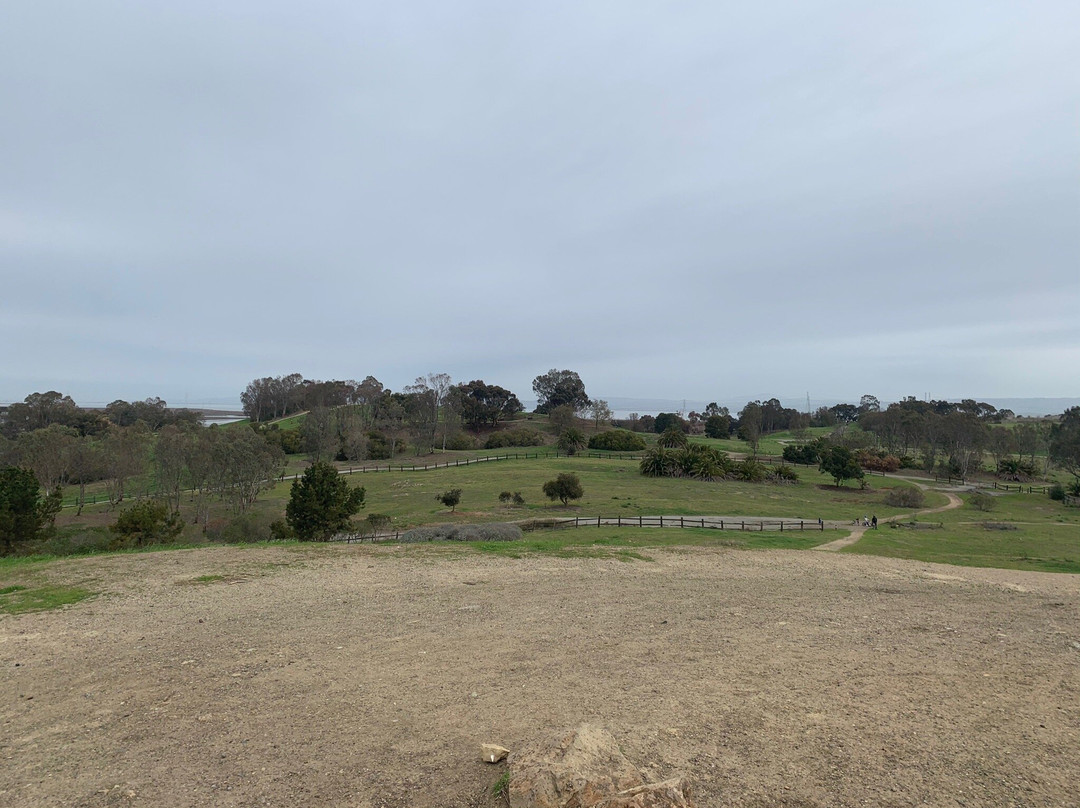 Bedwell Bayfront Park-门洛帕克必去景点
