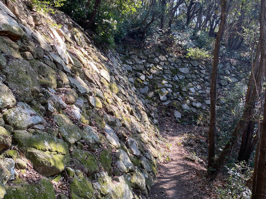 Shiroyama Hiketacastle景点图片