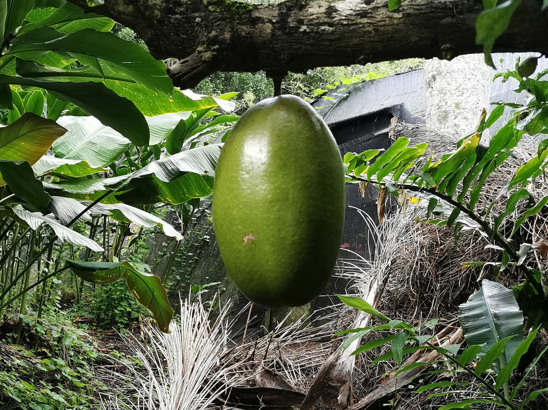 Taino Valley Tropical Park-Tubagua必去景点