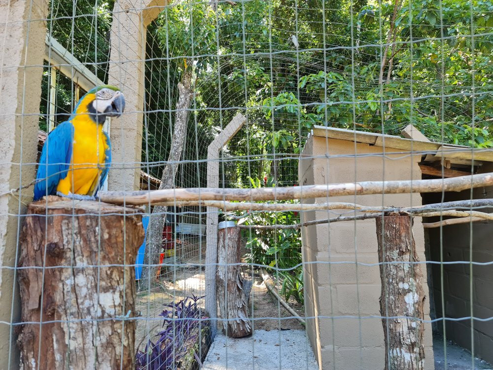 Sitio das Bromelias主图