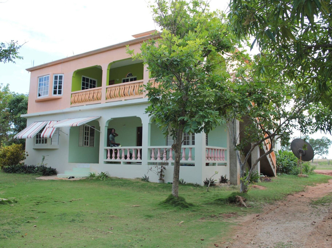 Diaspora Psychedelic Society-瑰宝滩必去景点