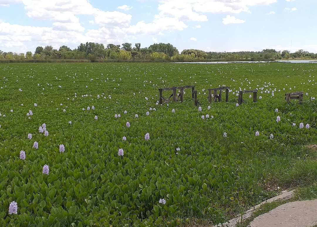 Laguna de San Vicente-San Vicente必去景点