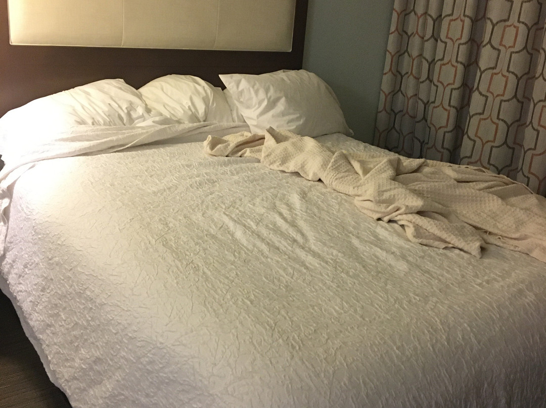 Hampton Inn Gaylord主图