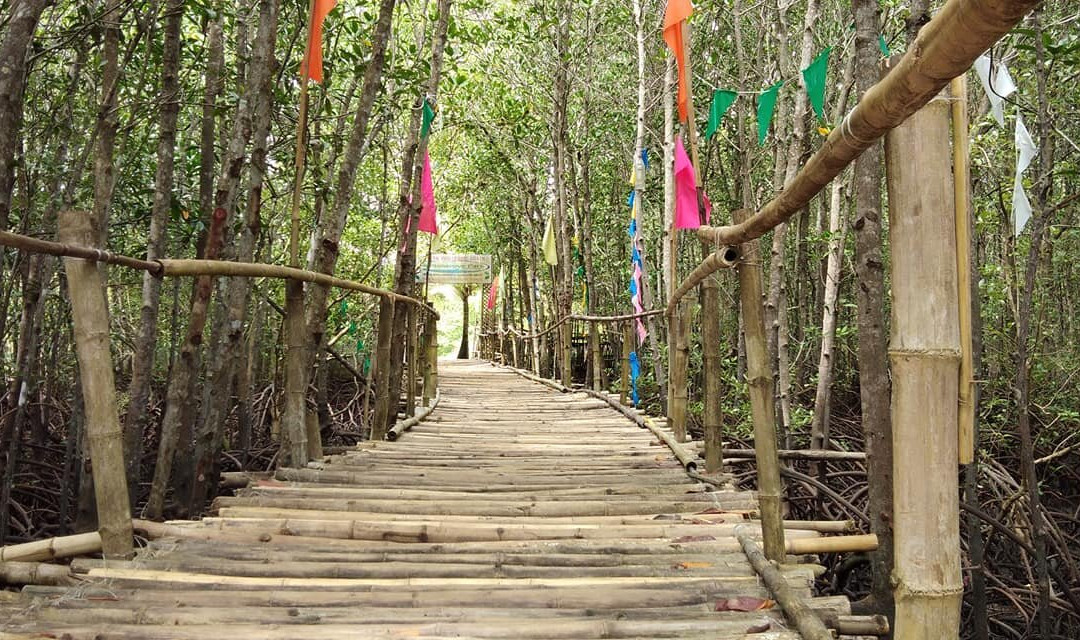 Mangrove Park and Beach Resort