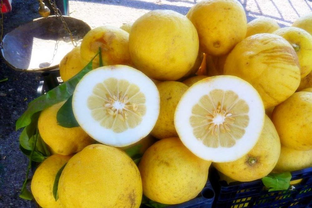 The Italian Connection-Itala必去景点