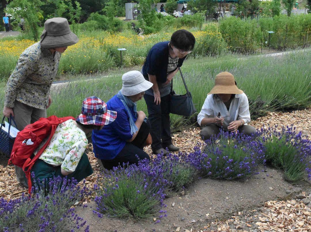 Okitama Park Herb Garden景点图片
