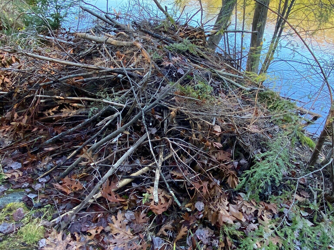 Bearsden Conservation Area-Athol必去景点