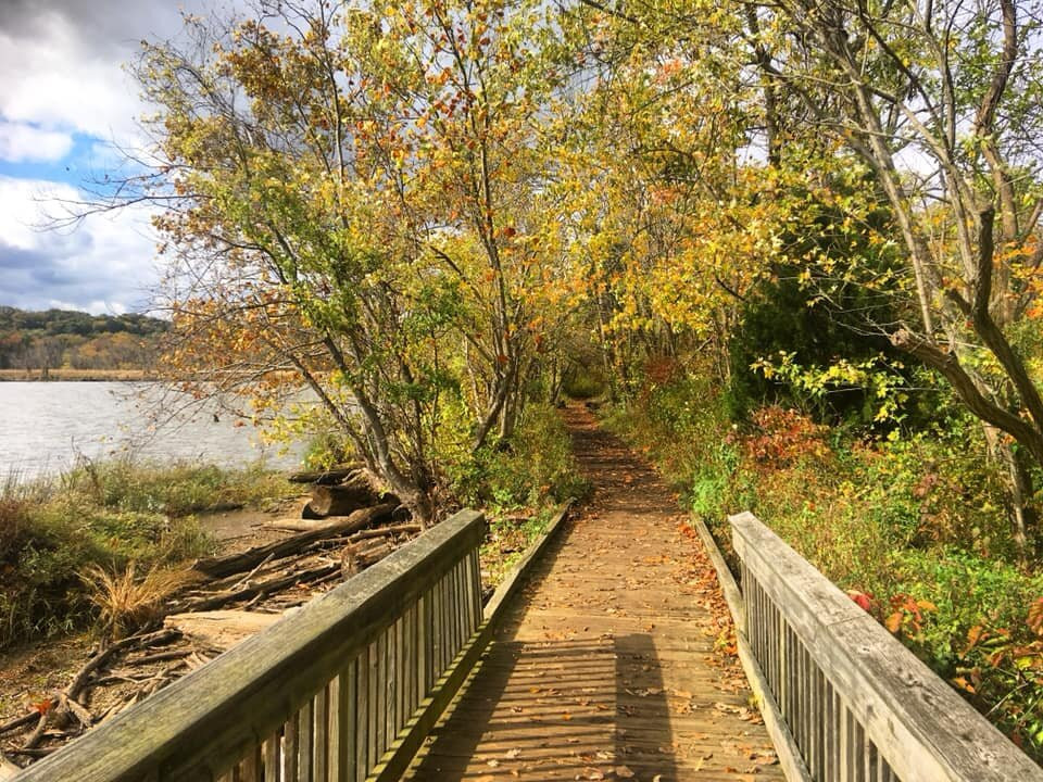 Dyke Marsh Wildlife Preserve-亚历山德里亚必去景点