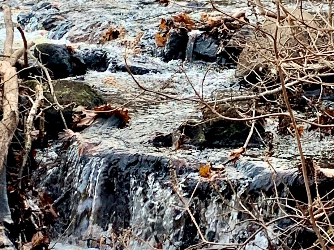 Devil's Hopyard State Park-East Haddam必去景点