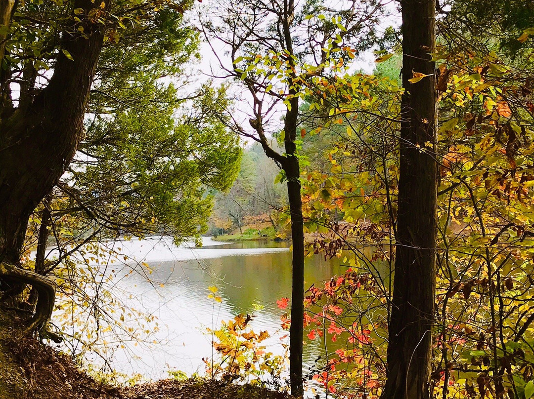 Standing Stone State Park-Hilham必去景点