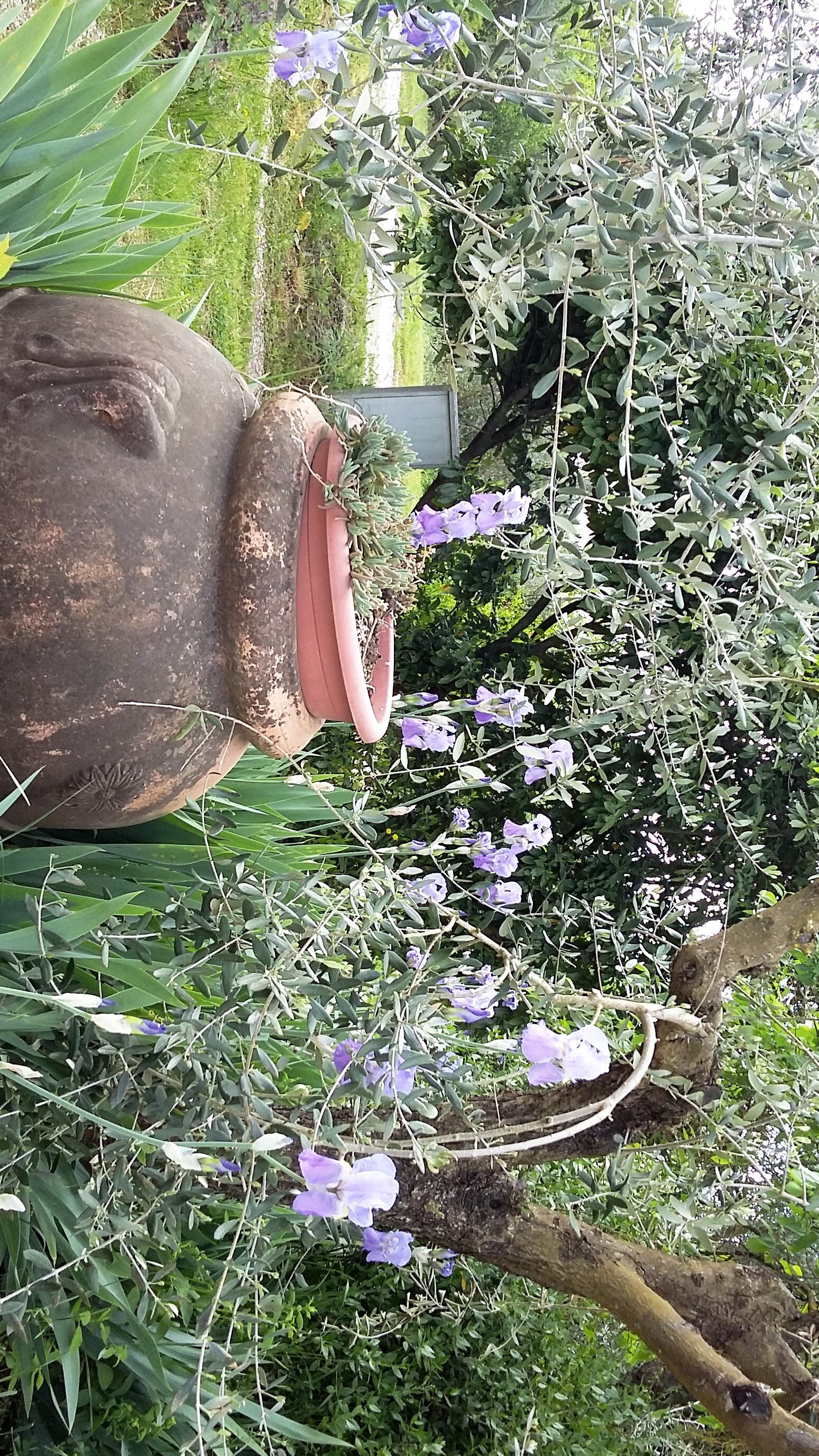 Podere le vigne-酒店景观