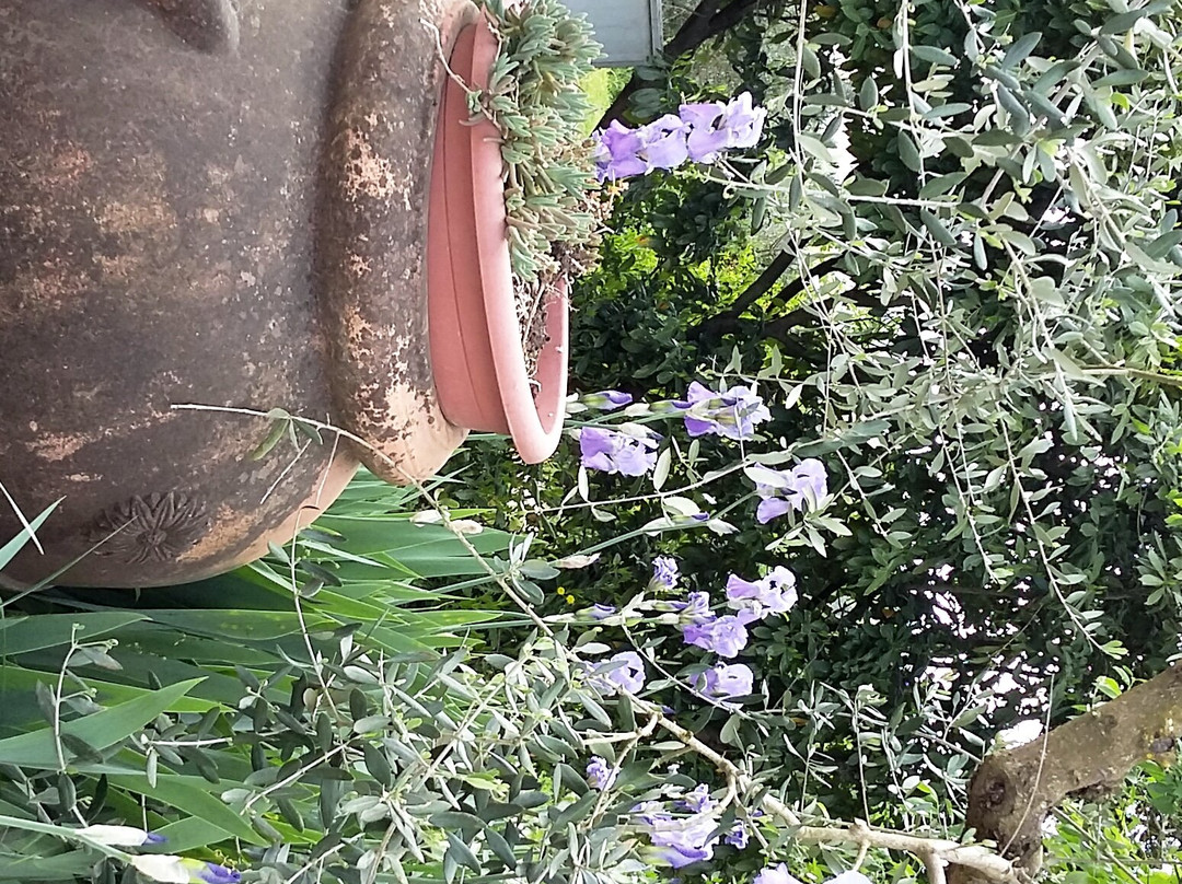 Podere le vigne主图