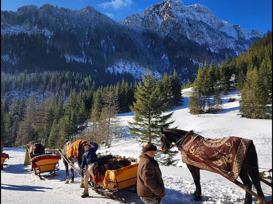 Private Tours Krakow-克拉科夫必去景点