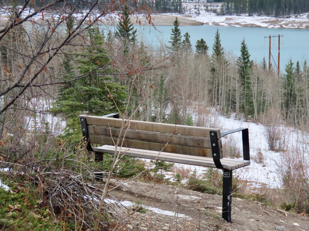 Prairie View Trail-卡那那斯基斯必去景点
