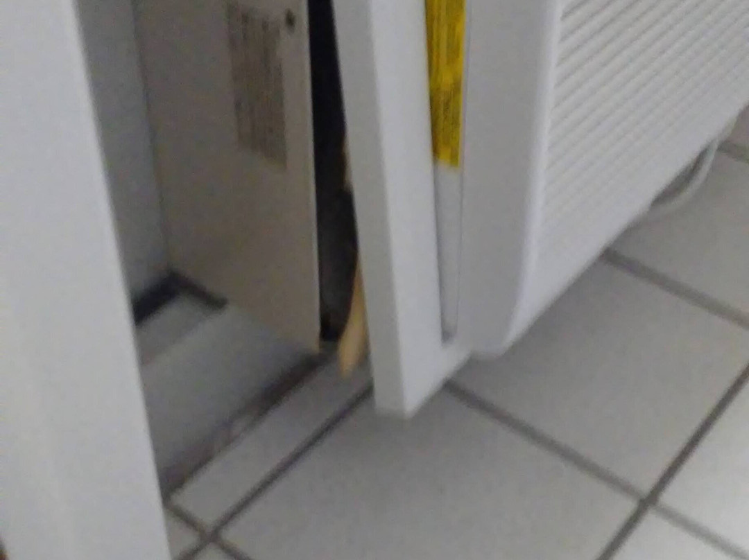 Riviera Resort & Suites主图