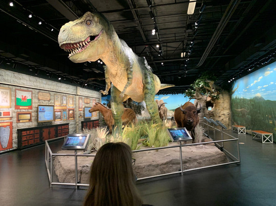 ICR Discovery Center-达拉斯必去景点