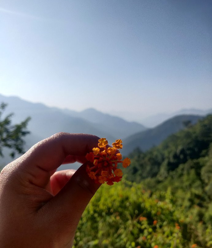 Astraal Resorts & Spa主图