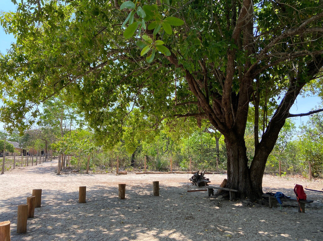 Fervedouro Rio Sono-Mateiros必去景点