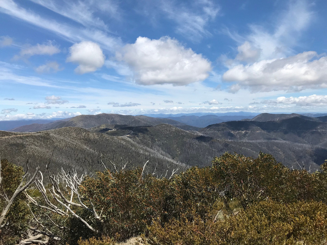Blowhard Hut-Hotham Heights必去景点