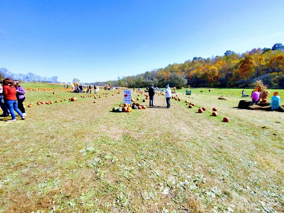 Schramm Farms & Orchards景点图片
