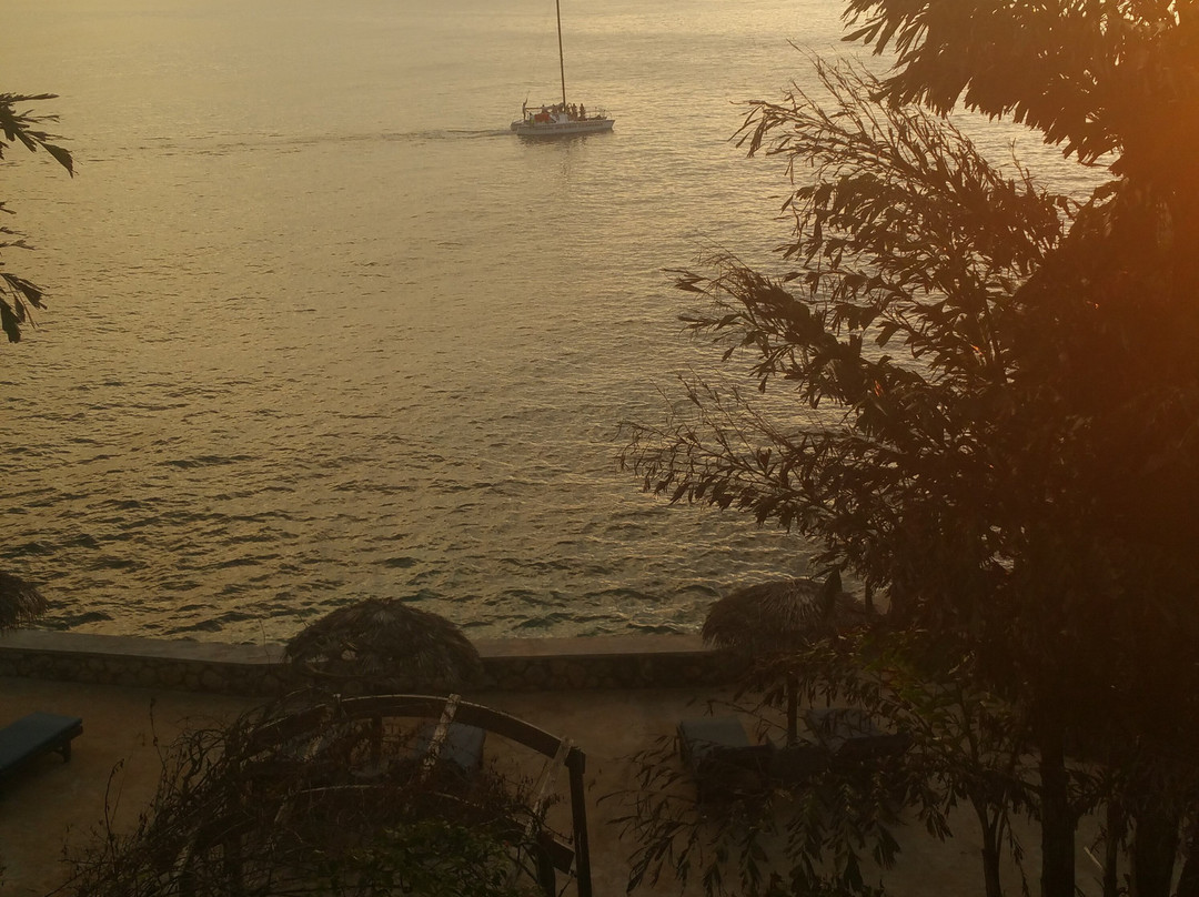 Catcha Falling Star主图