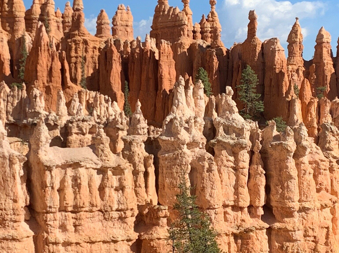 The Bullberry Inn主图