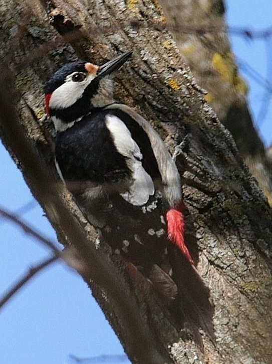 Riserva Naturale Gaggio Nord-马尔孔必去景点