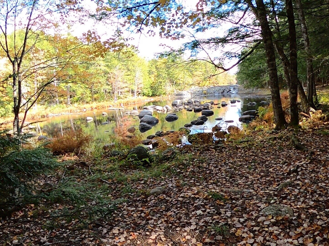 Kejimkujik National Park & National Historic Site景点图片