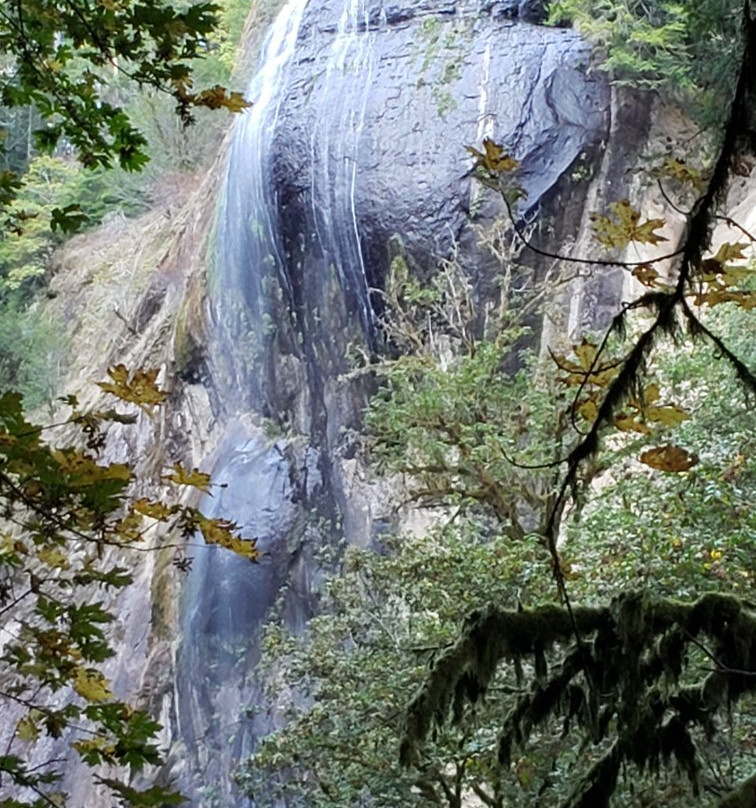 Golden and Silver Falls State Natural Area景点图片