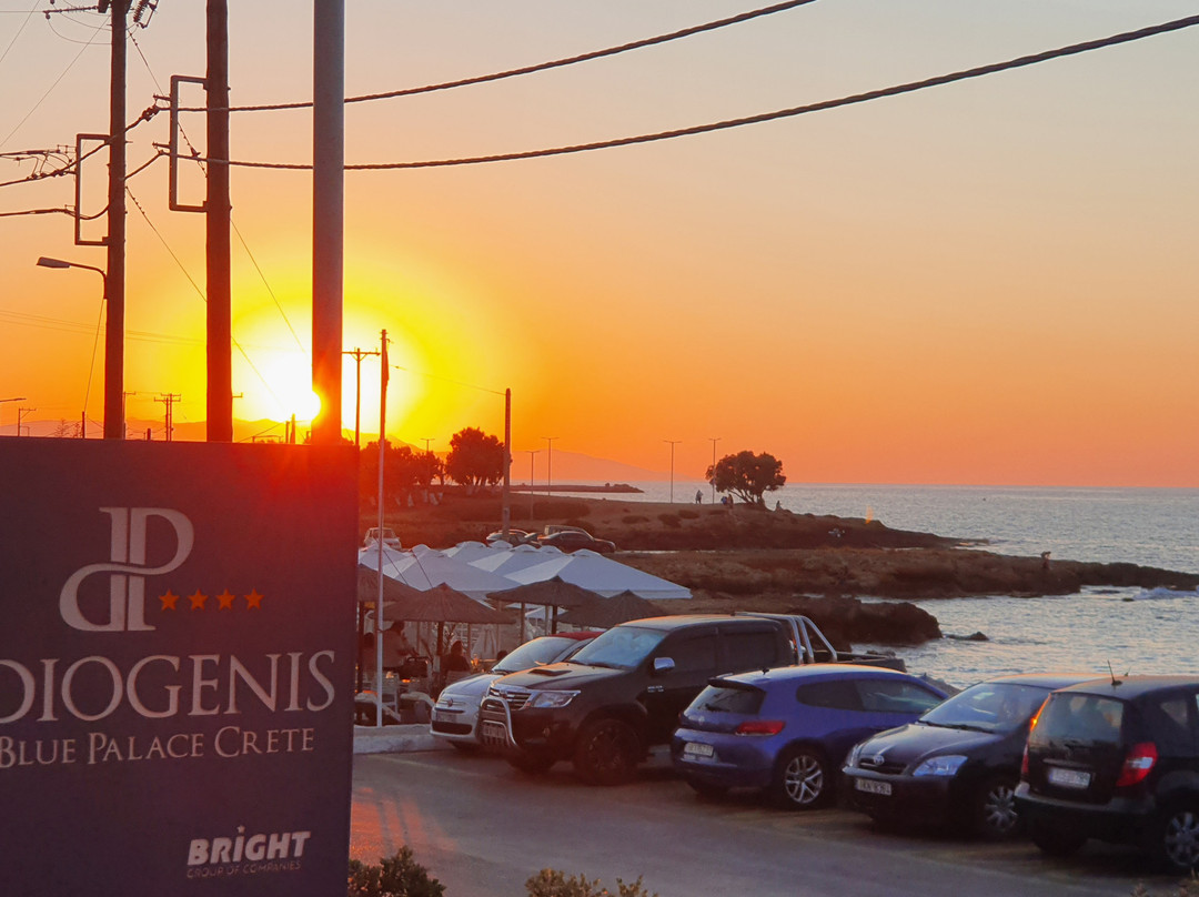 Diogenis Blue Palace主图