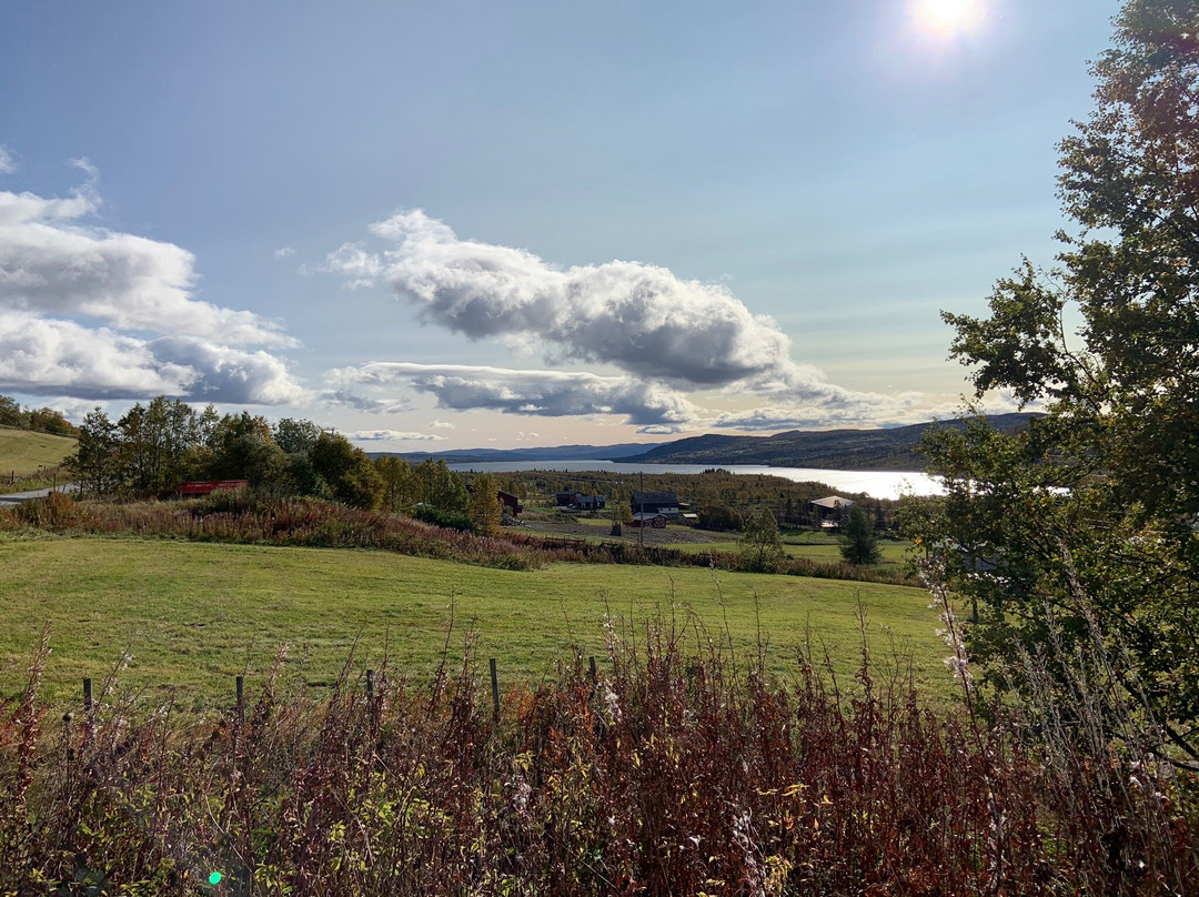 Round Trip of Tisleifjorden Golsfjellet-古尔必去景点