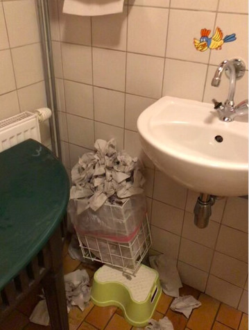 Grinzing旅游攻略图片