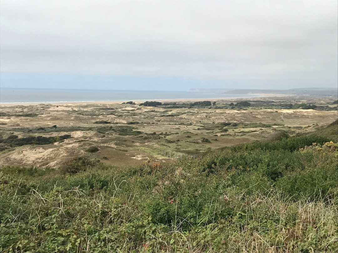 Dunes d'Hattainville景点图片