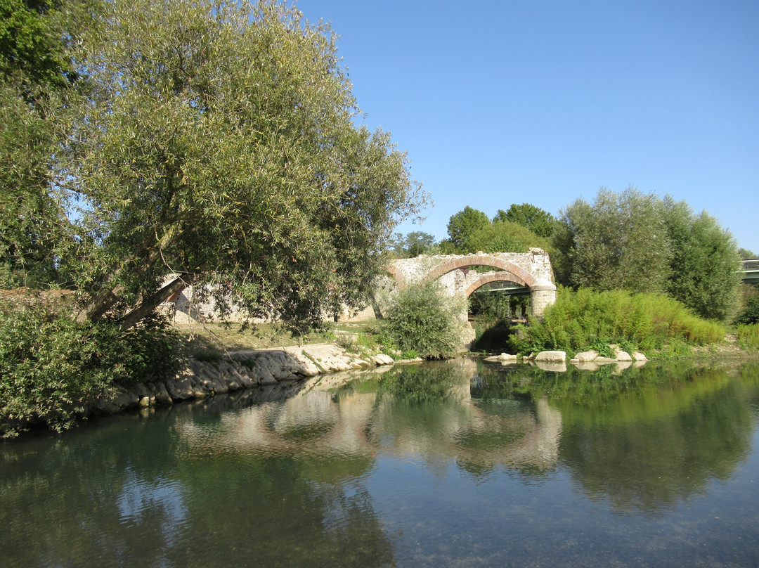 Ruines du Moulin de Chelles景点图片